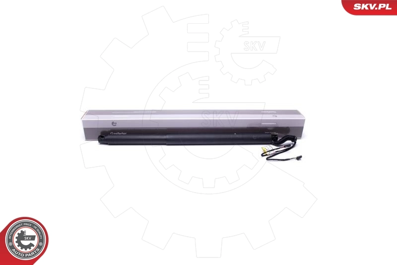 Electric Motor, tailgate
